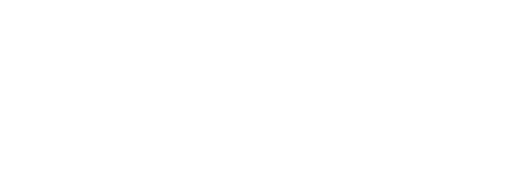 Zyvest Capital - 